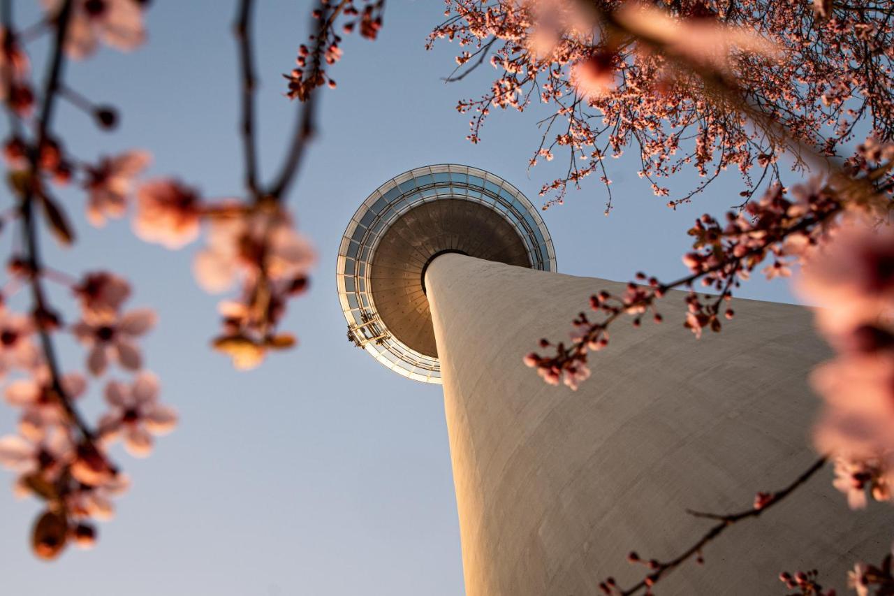 Hostel มานไฮม์ ภายนอก รูปภาพ The top of the tower